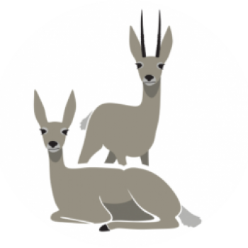 ECGMA Logo